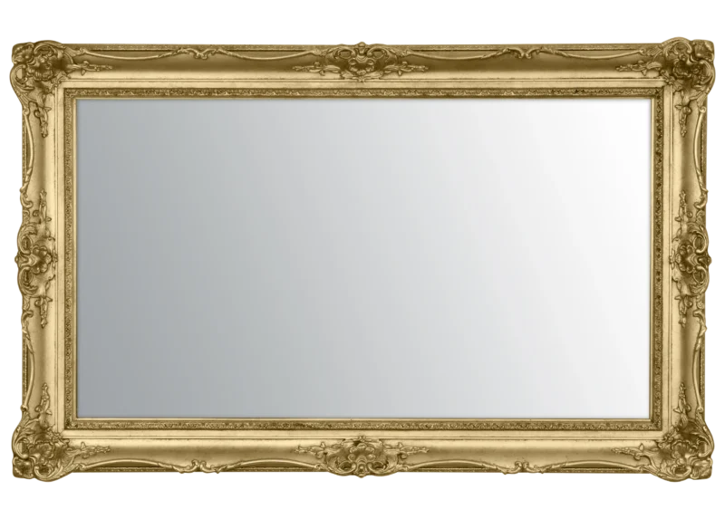 Surrey gold Mirror TV Frame