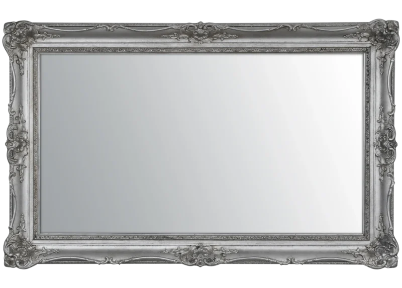 Surrey silver Mirror TV Frame